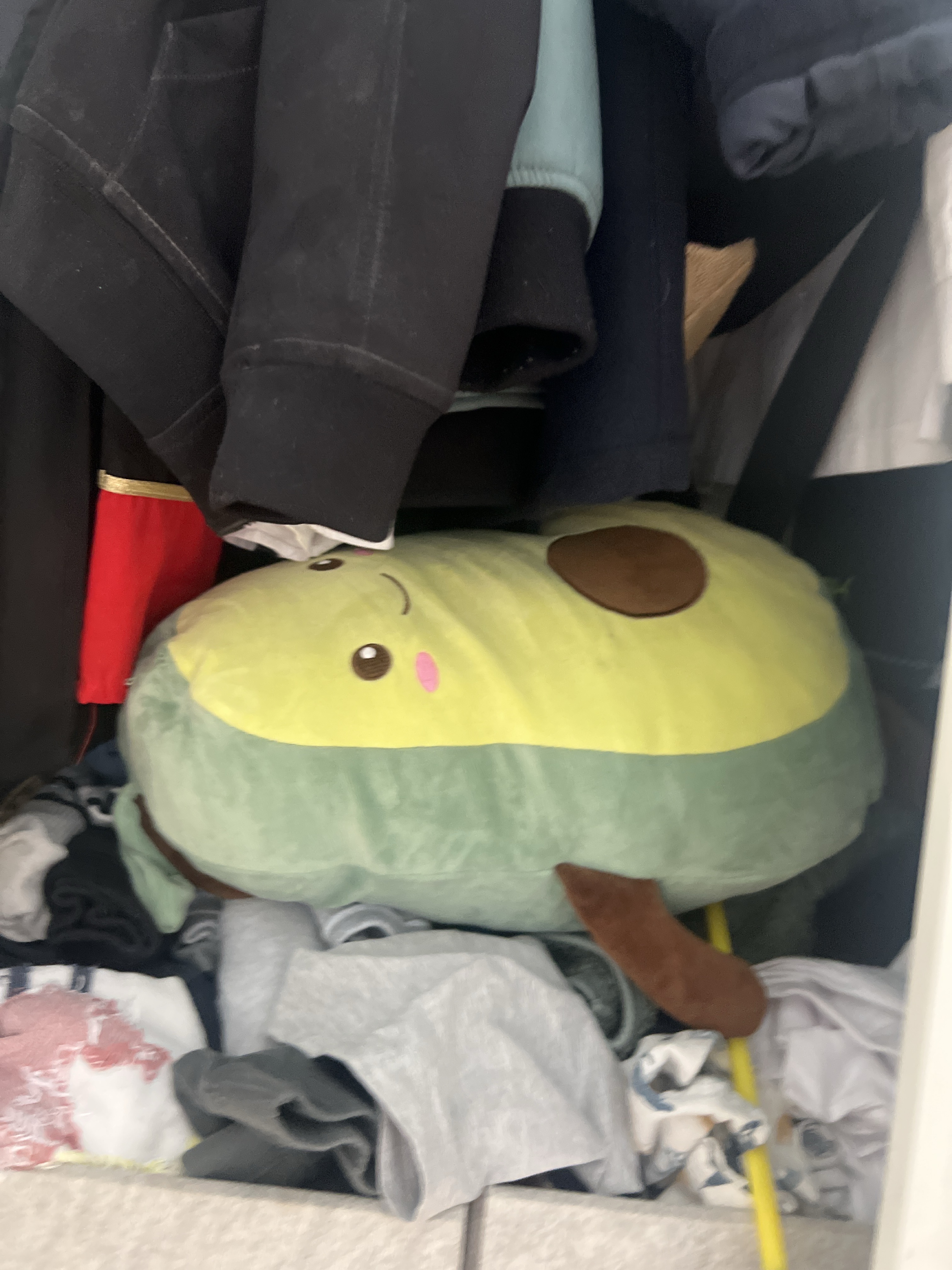 Avocado in the wardrobe portal